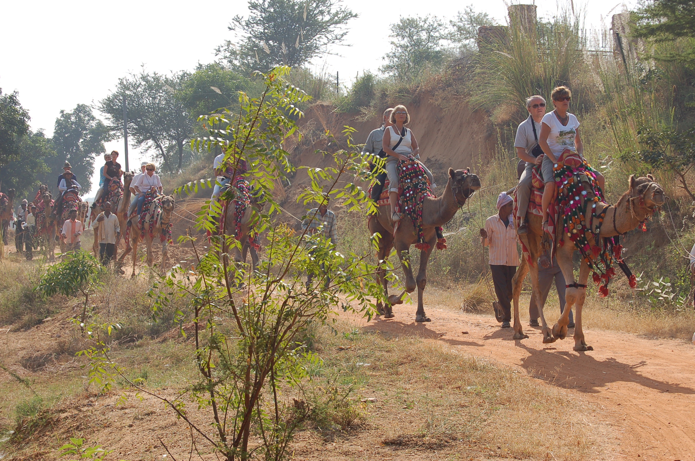 Image from Farm Lunch - Samode